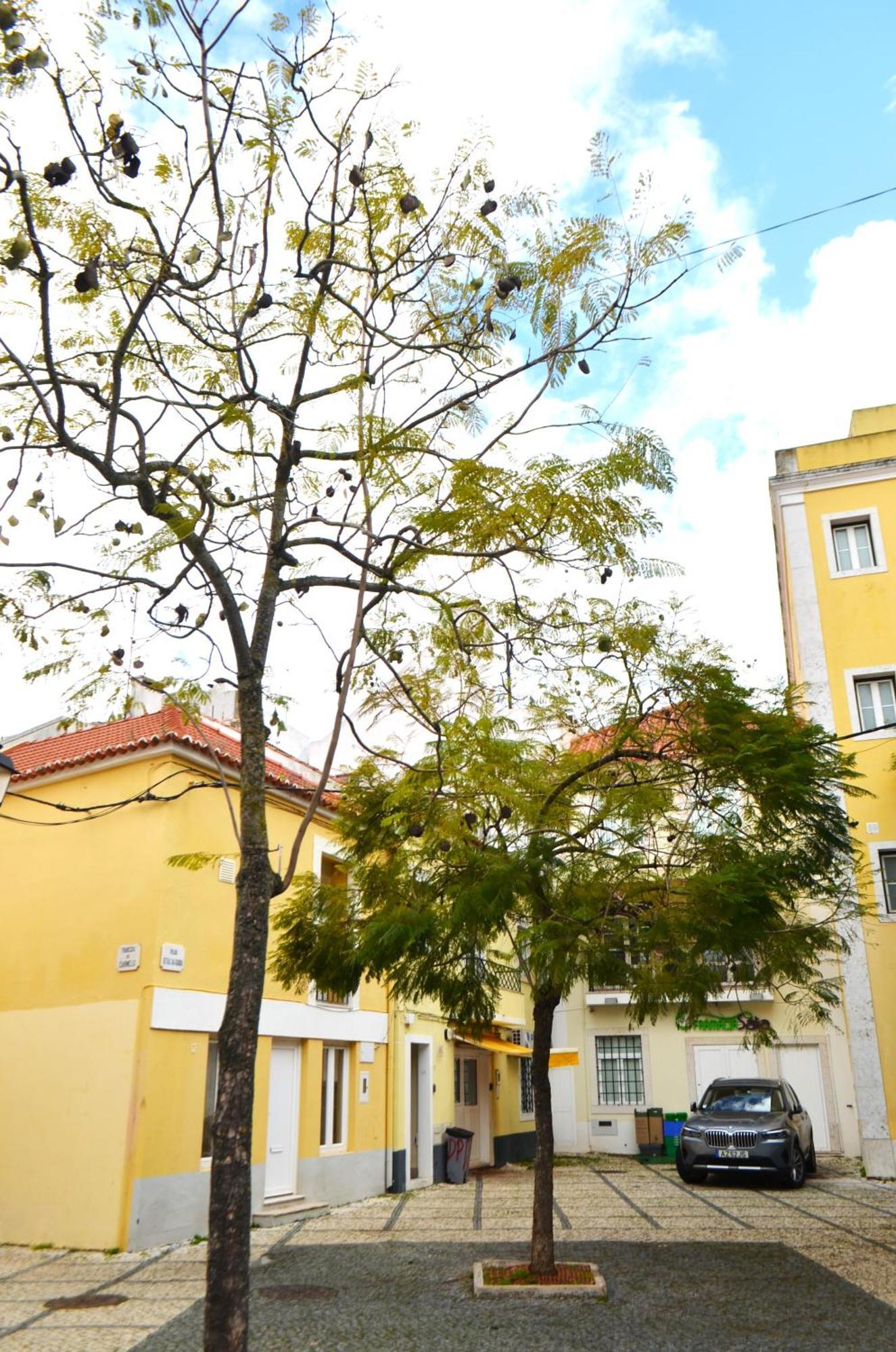 Rooms Dp Setubal Luaran gambar